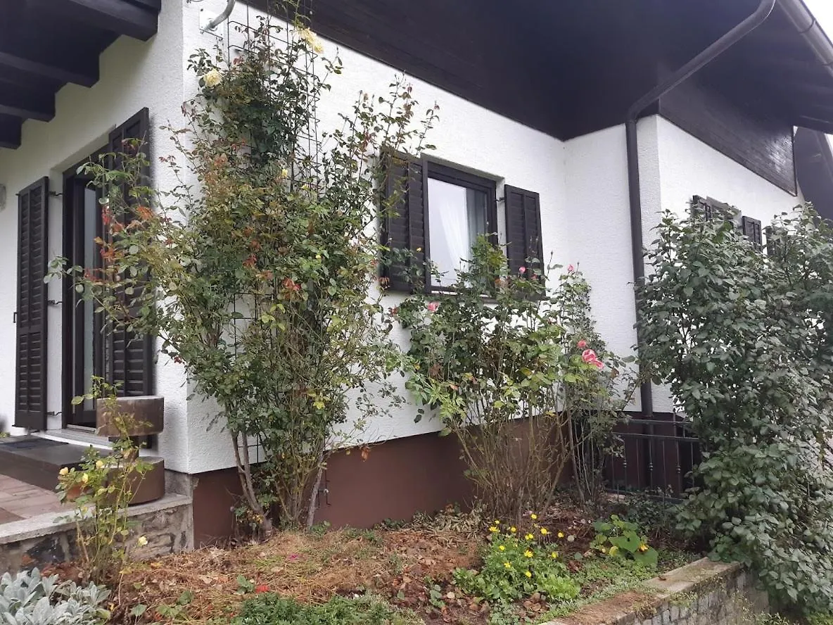 Apartman Ksenija Delnice Appartamento